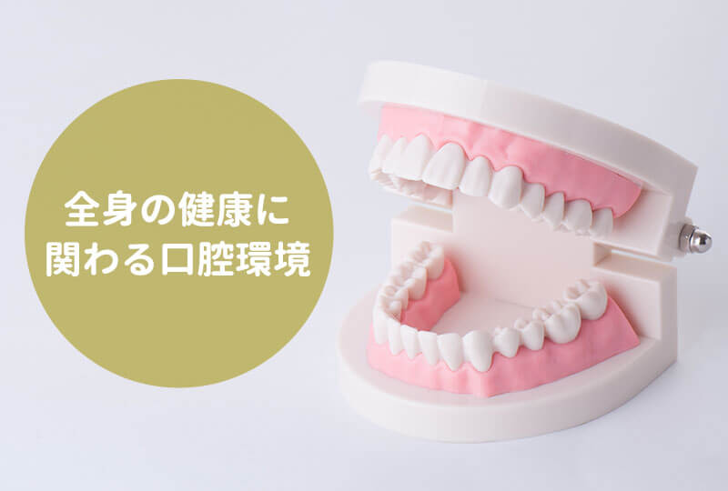 口腔環境と全身の健康関係
