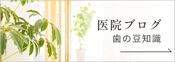 ヒカルノ歯科・矯正歯科スタッフブログ